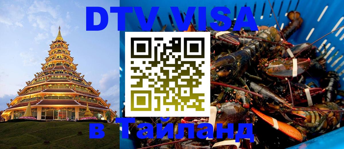 Цены на DTV визу в Таиланд — пакеты услуг, достаточно даже паспорта - Владимир  20.11.2025 